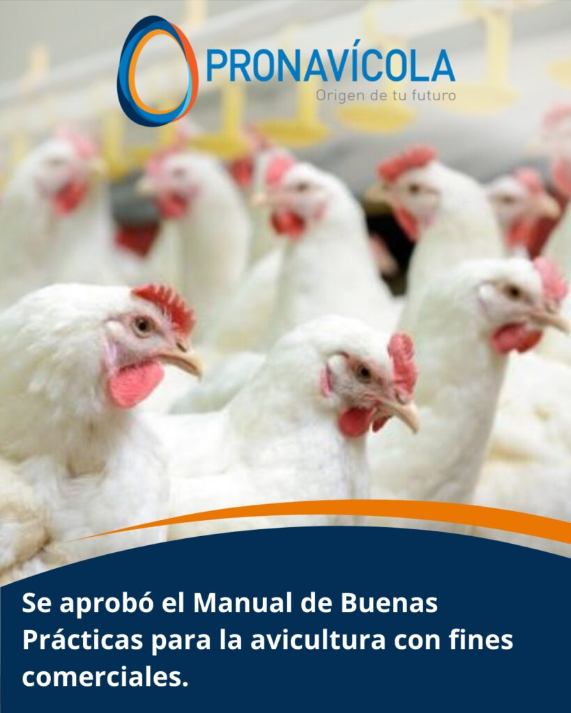 Se aprobó el Manual de Buenas Prácticas para la avicultura con fines ...